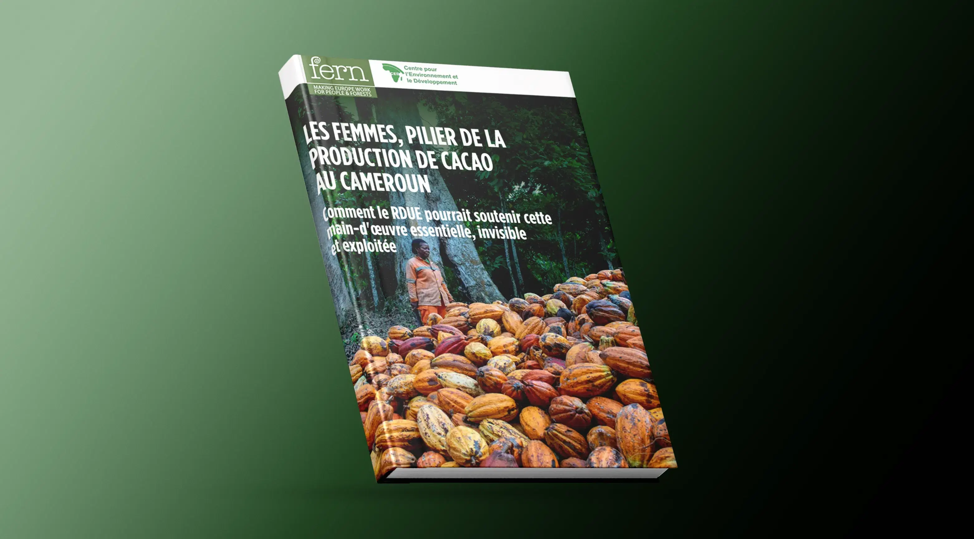 Rapport cacao — Les femmes, pilier de la production