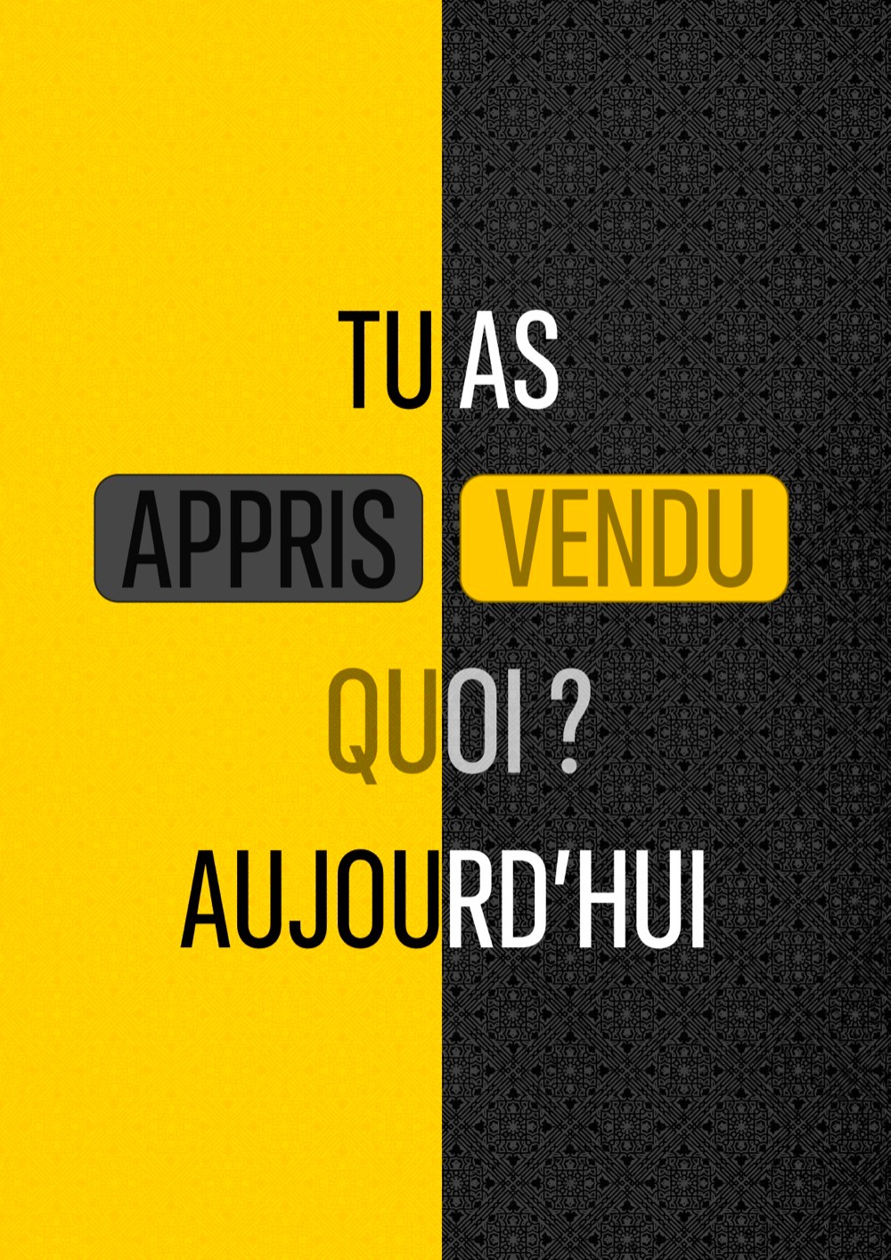 Homofocusus — Tableau