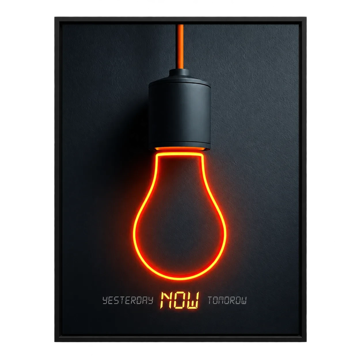 Homoconcentrus — Tableau