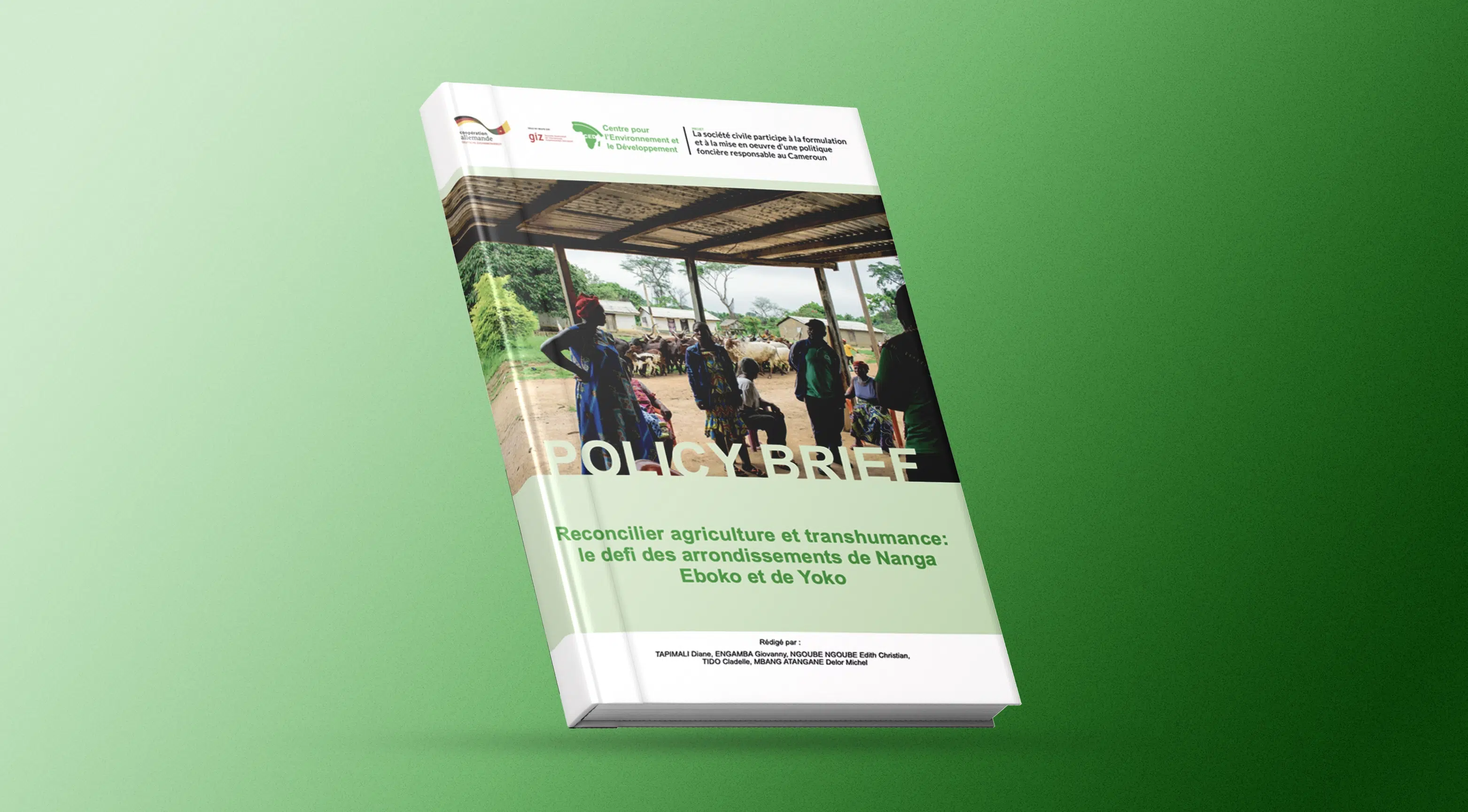 Policy brief — Agriculture & transhumance — visuel 1